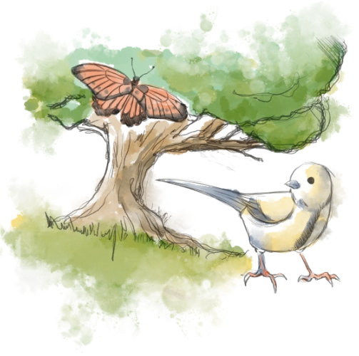 Figure 3:  Nature watercolour drawing: a yellow and blue bird lookid at its left on the bottom right, a flying butterfly with orange and black wings on the upper left, a green tree on the background.